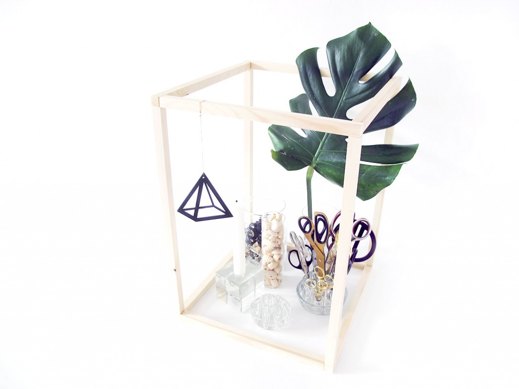 xl-byg diy wood frame med monstera og glas 